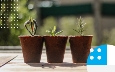 5 Trends Driving Growth in the Wealth Management Industry