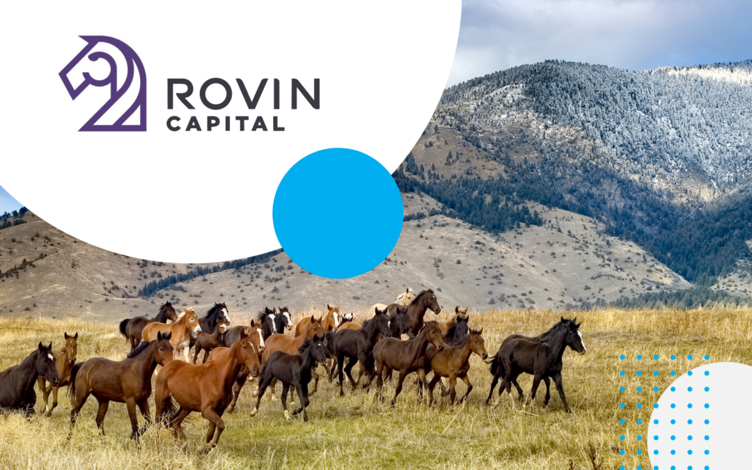Rovin Capital Improves Client Relationships with CircleBlack
