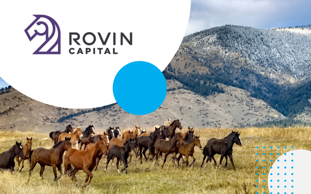 Rovin Capital